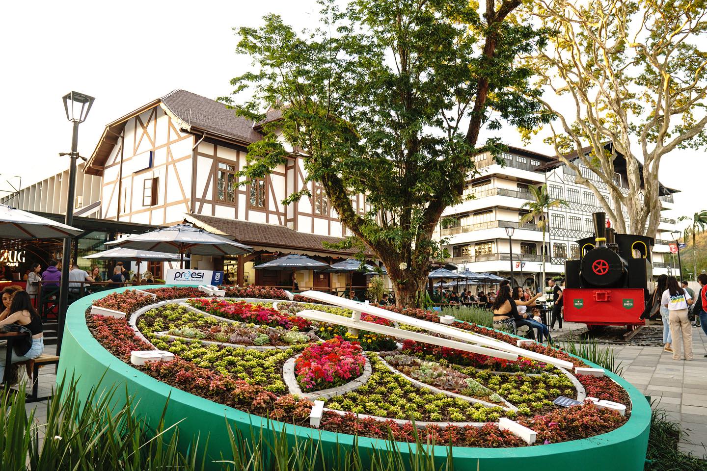 Gotoday | Zug Café e Bar