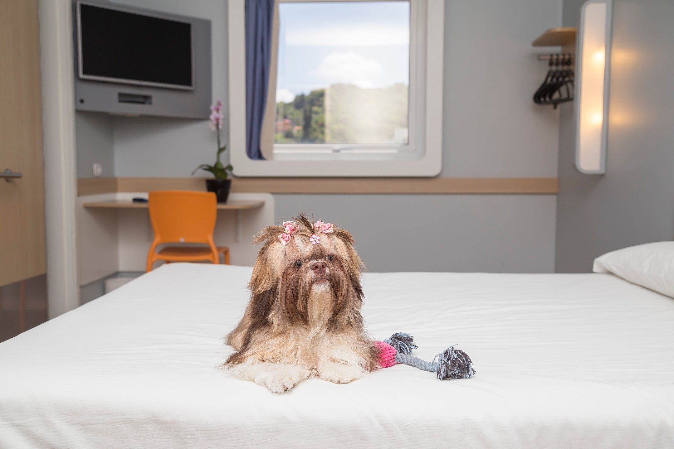 Gotoday | Hotel Ibis Budget