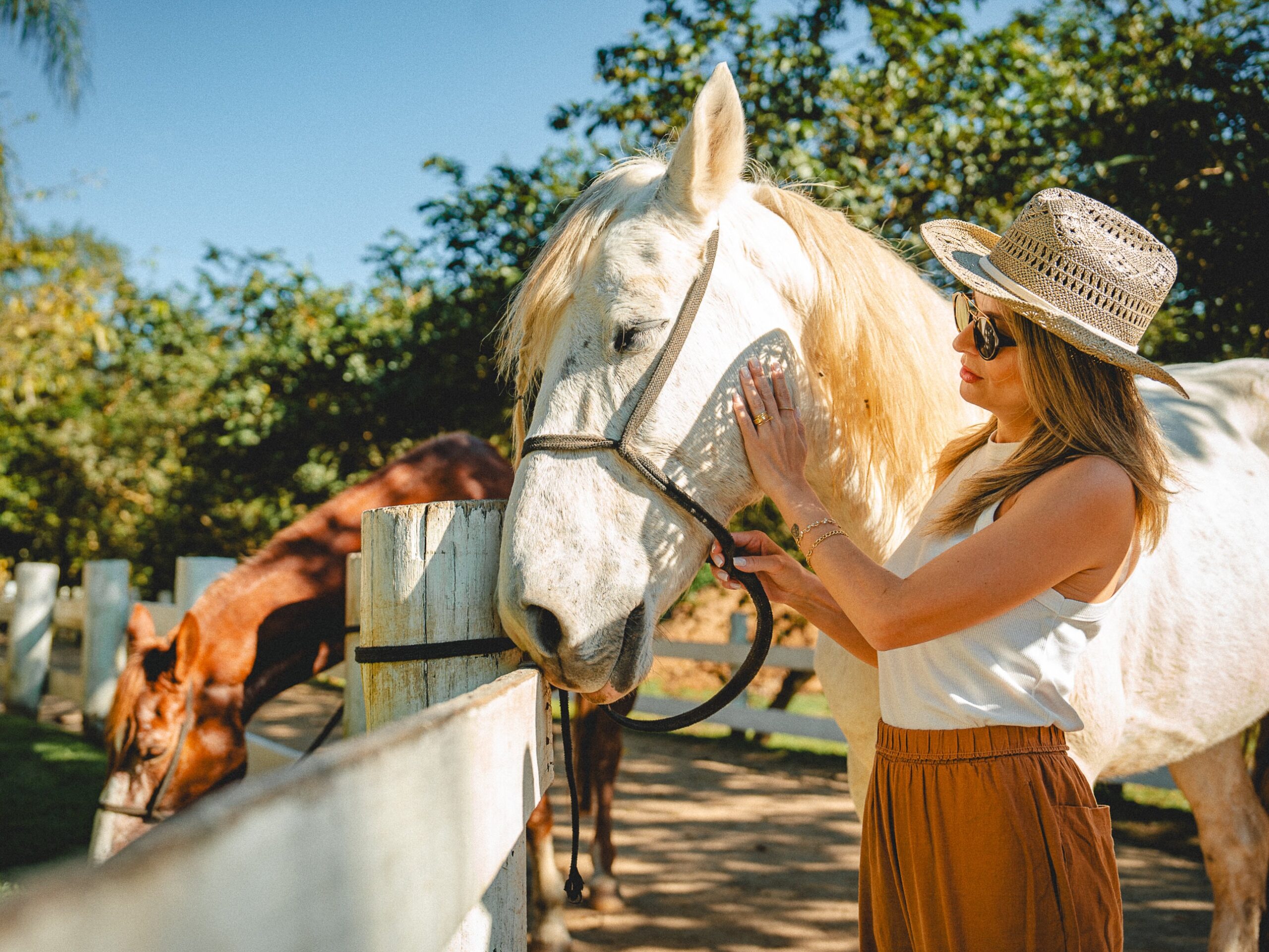 Gotoday | Fazzenda Park Resort