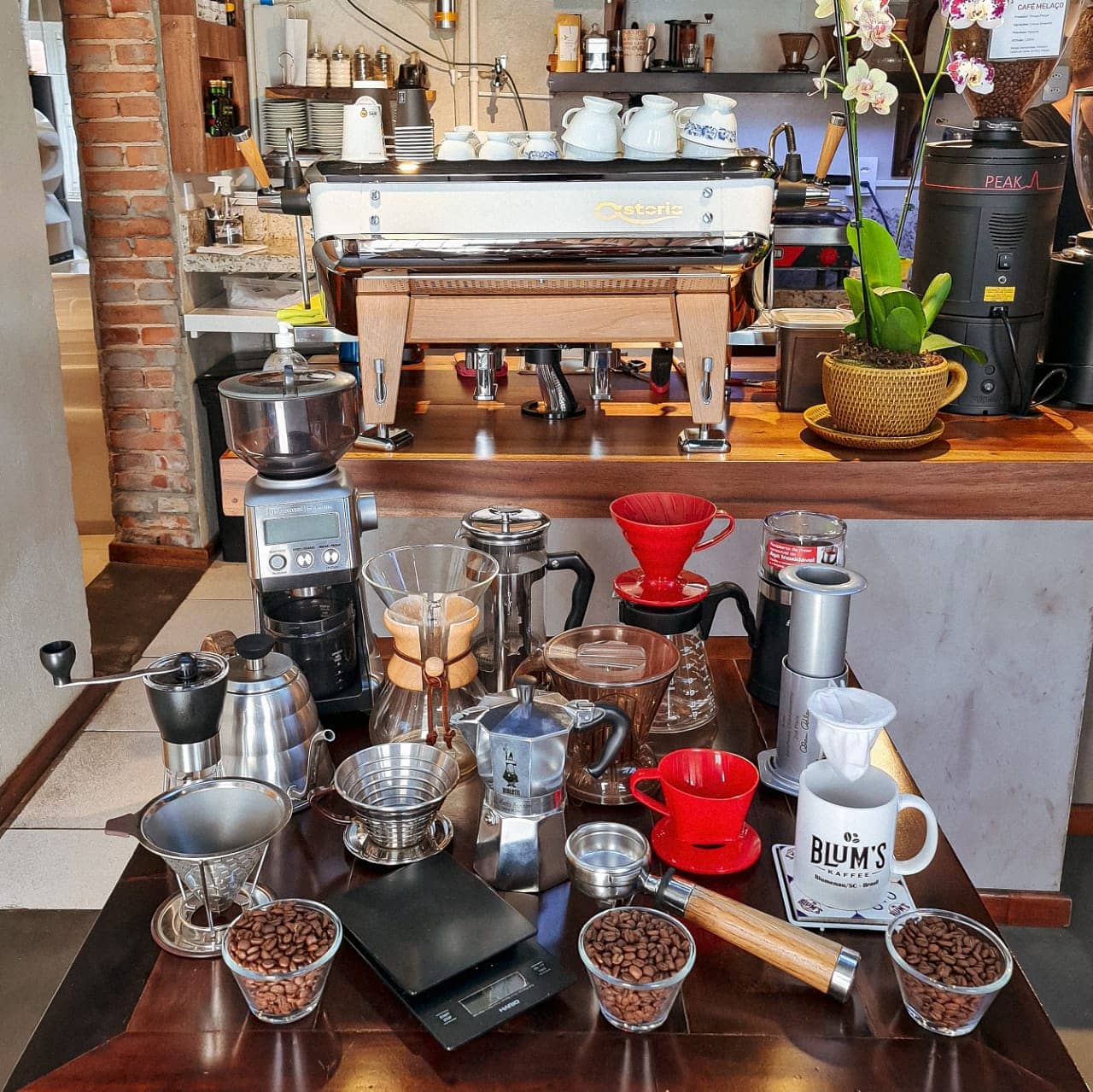 Gotoday | Blum´s Kaffee