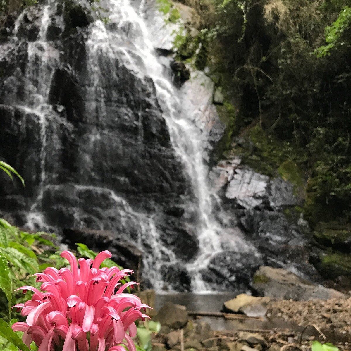 Gotoday | Parque Ecológico Spitzkopf